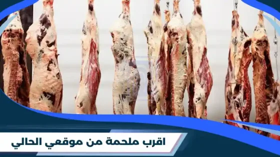اقرب ملحمة من موقعي