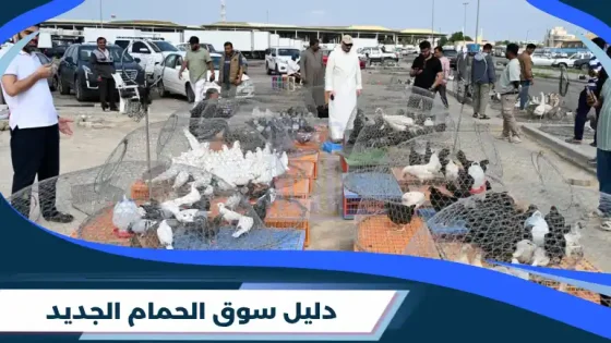 سوق الحمام الجديد