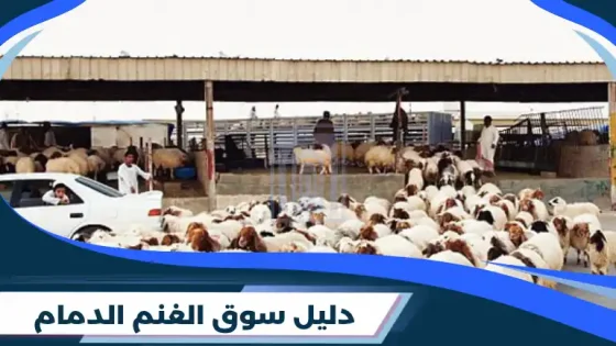 سوق الغنم الدمام